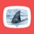 tvtagSharkTank's profile image