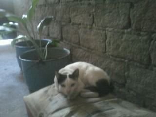 SinsonidoErdwin's profile picture. 