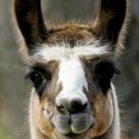 Taylor Blasko - @tablasko - Twitter