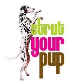 My goal is to provide the best experience for your pets while your at work, away on holiday or simply unable to give the the adequate exercise they need.
