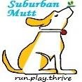 We are a neighborhood Natural Pet Supply Store & Grooming Salon. We offer all natural dog & cat food, premium supplies & custom dog haircuts & baths.