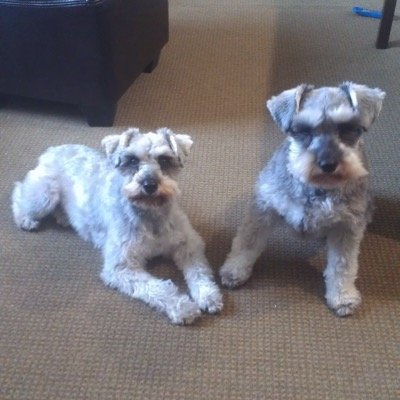 lynniepw's profile picture. 