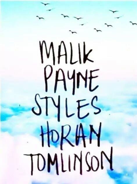 Sigueme y te sigo; Follow me and I follow:)                           Directioners