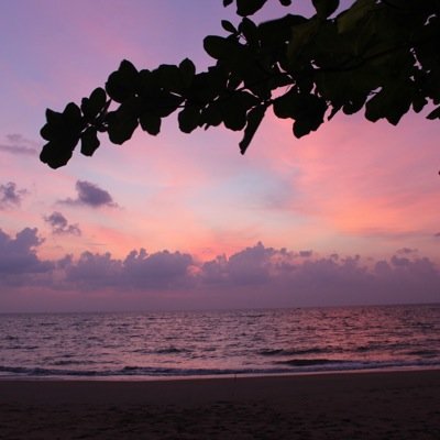 marckeiser's profile picture. 