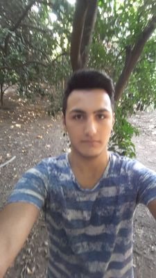 ysfylmz355's profile picture. 