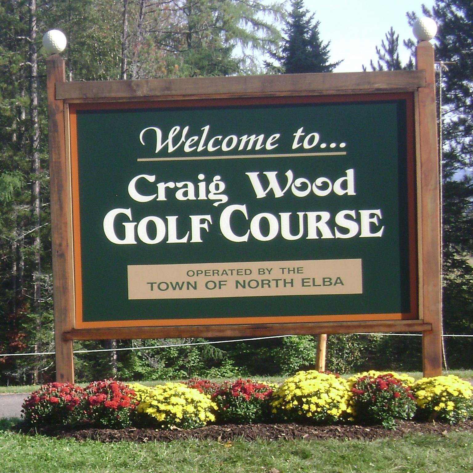 Craigwoodgolf's profile picture. 