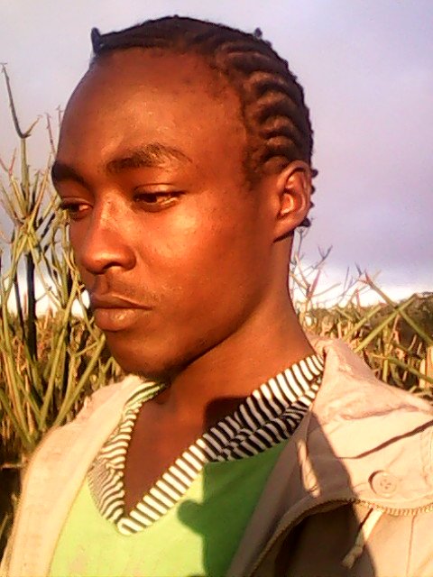 kk5mario's profile picture. ...