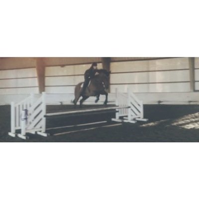 i have a cute pony
