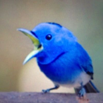 انتبه لتغريداتك فكل ماتكتب محاسب عليه ..                                   ابو رزان _الرياض