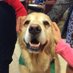 Tucker Rettew (@tucker_uvm) Twitter profile photo