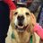 Tucker_UVM's profile image