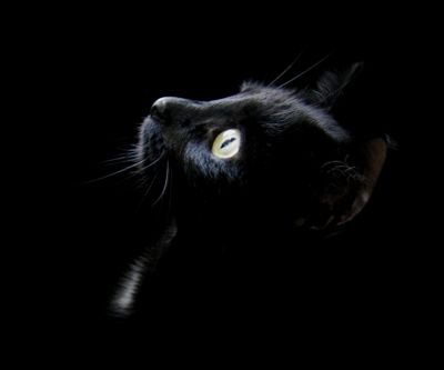 17. El infierno está en mi cuerpo y los demonios en mi mente; La soledad parece que se ha enamorado profundamente de mí. no comas, es una trampa.