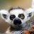 solflora's profile image