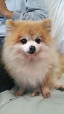 人です。YNU LS  TMU 法学系・杉並学院・豊玉中 ただただ思ったことをつぶやくだけののほほーんなかんじ 知り合い以外フォロー承認しません。嫌いなものはすぐ(`Ａ´)ﾏｽﾞｰ!!ﾍﾟｯ!!ってします。