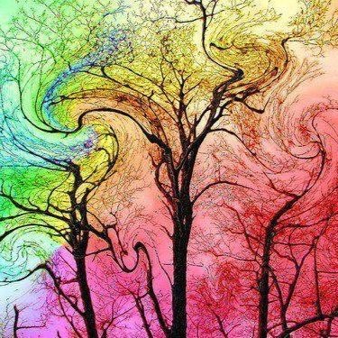 barasa_nicole's profile picture. 