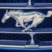DGS Driver Education (@dgsde1) Twitter profile photo