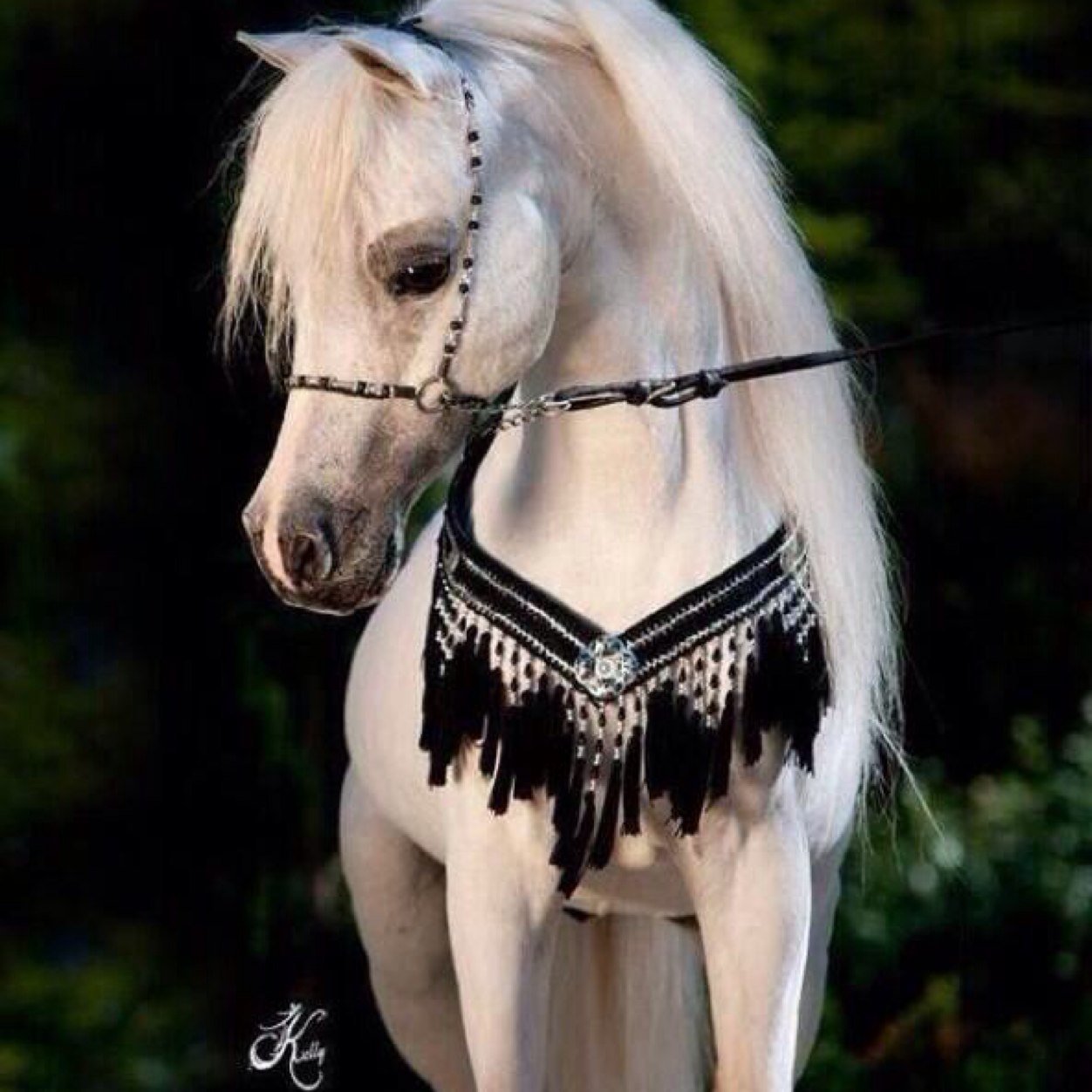 hash1231's profile picture. لاتتركوناوحنا محتاجين لكم حيل زوجي كان سجين وسيارته سحبوها لان قصدها مايقدر يسدده مش موضف اللي يقدر يوضفه الله يجزاه الجنه يارب