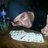 QueCanto31's profile image