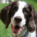 Holly Ladd - @gibswags - Twitter