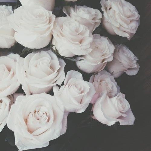 Bonjour moi c Manal j'ai 14 ans et il y a que la vie qui compte pour moi