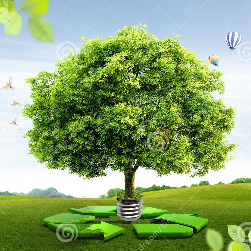 ecotechnologyCA's profile picture. Empresa destinada a la elaboración y distribución de productos tecnológicos (laptops), recargados mediante la luz solar.