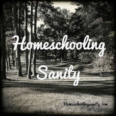 Blog devoted to uplifting and inspiring homeschool parents. It's a tough job.  This is your regular dose of motivation to keep going.