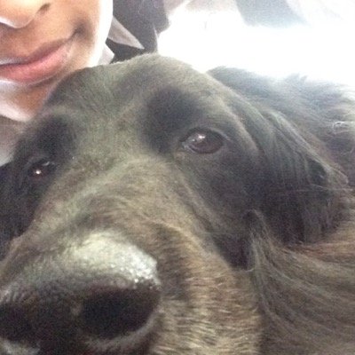 nadiamohab's profile picture. 