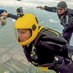Robin RoboBot (@nanuskydives) Twitter profile photo