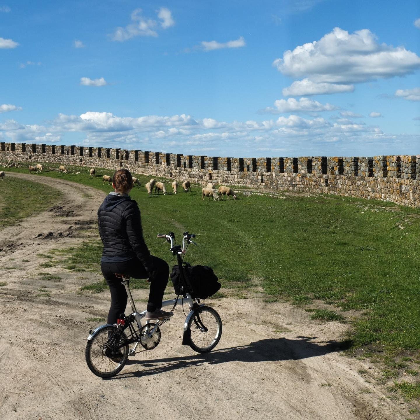 Lawyer and photographer (@gudphoto) traveling the world with our Brompton folding bikes.