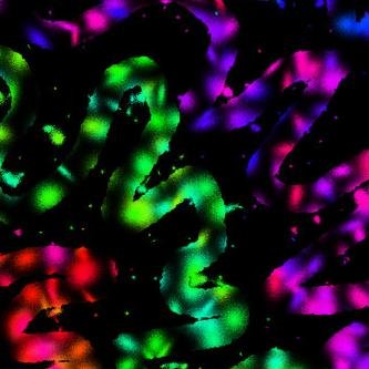 blingout1's profile picture. 