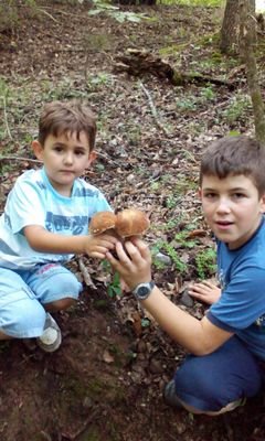 IgorJakimovski1's profile picture. 