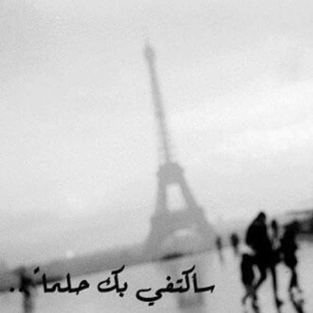 يقال بأني كنت شاعراً