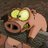 kuvemesanuxy's profile image