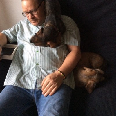 harrygoldwing's profile picture. 