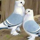 بنت النور (@0502046566) Twitter