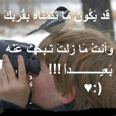احب صنعاء