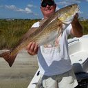 Terry Springer - @TerrySpringer2 - Twitter