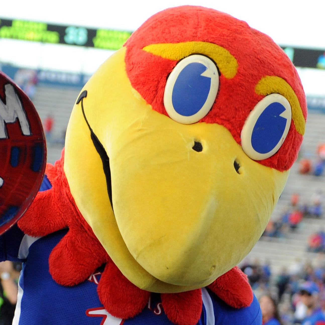 University of Kansas Jayhawks football and basketball sports recruiting news and community from http://t.co/4vpI7FE2HB