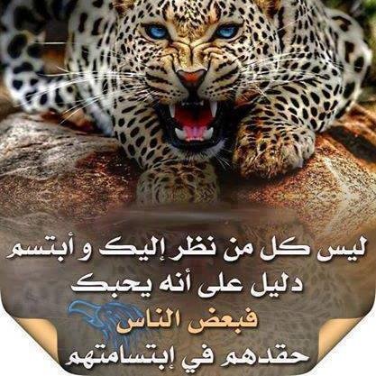 merci_amin's profile picture. 