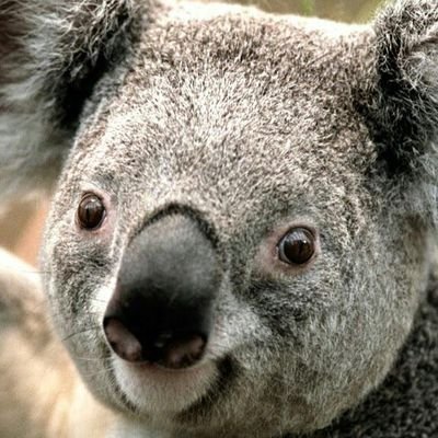 JeevanSimon's profile picture. 