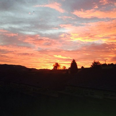 redvinowarrior's profile picture. 