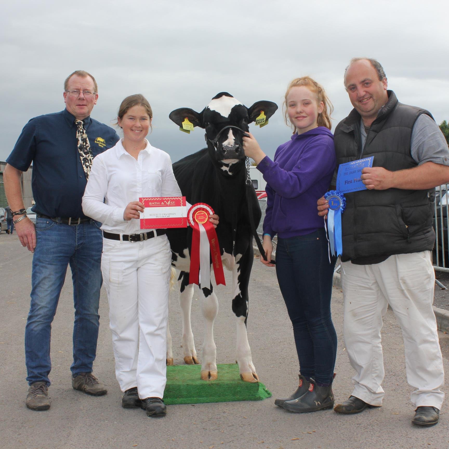 Bred pedigree Holstein, Scandinavian Red and British Friesians in the U.K. Now setting up a Jersey herd somewhere much more exotic…