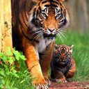 Jose Luis Leon Colla - @josesito_fiel - Twitter