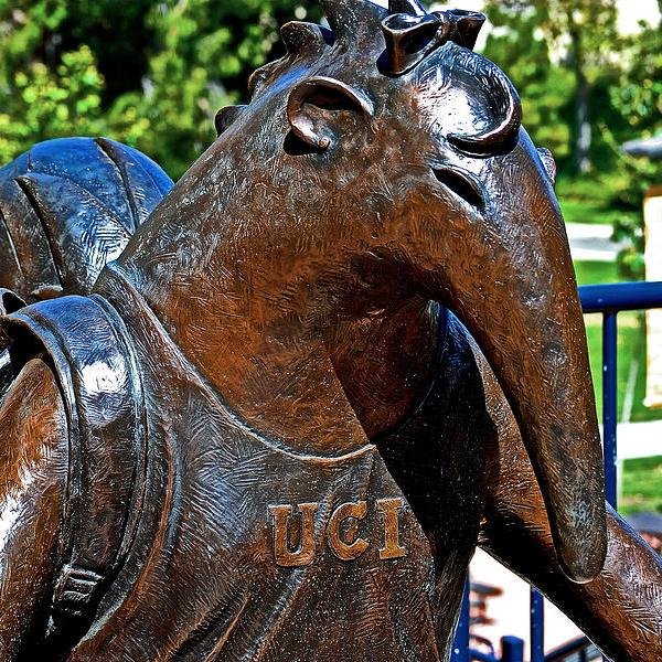 Submit your stories, confessions, tips about UCI here! Your dose of UCI, LEAKED!
