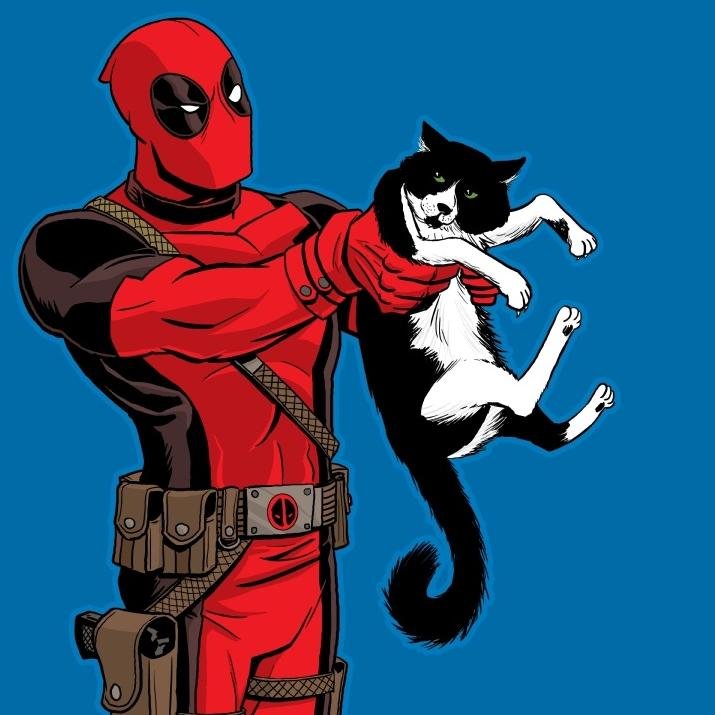 Giman4's profile picture. Body By Nautilus; Brain By Mattel.
KCCO