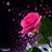 همسات's Twitter (X) avatar