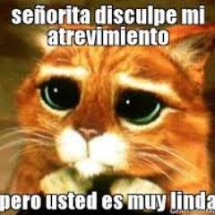 twitter oficial de aquellos que Gusten enamorar a una chica o chico Tweets Con frases atrevidas tiernas y lindas.ademas pensamientos positivos.