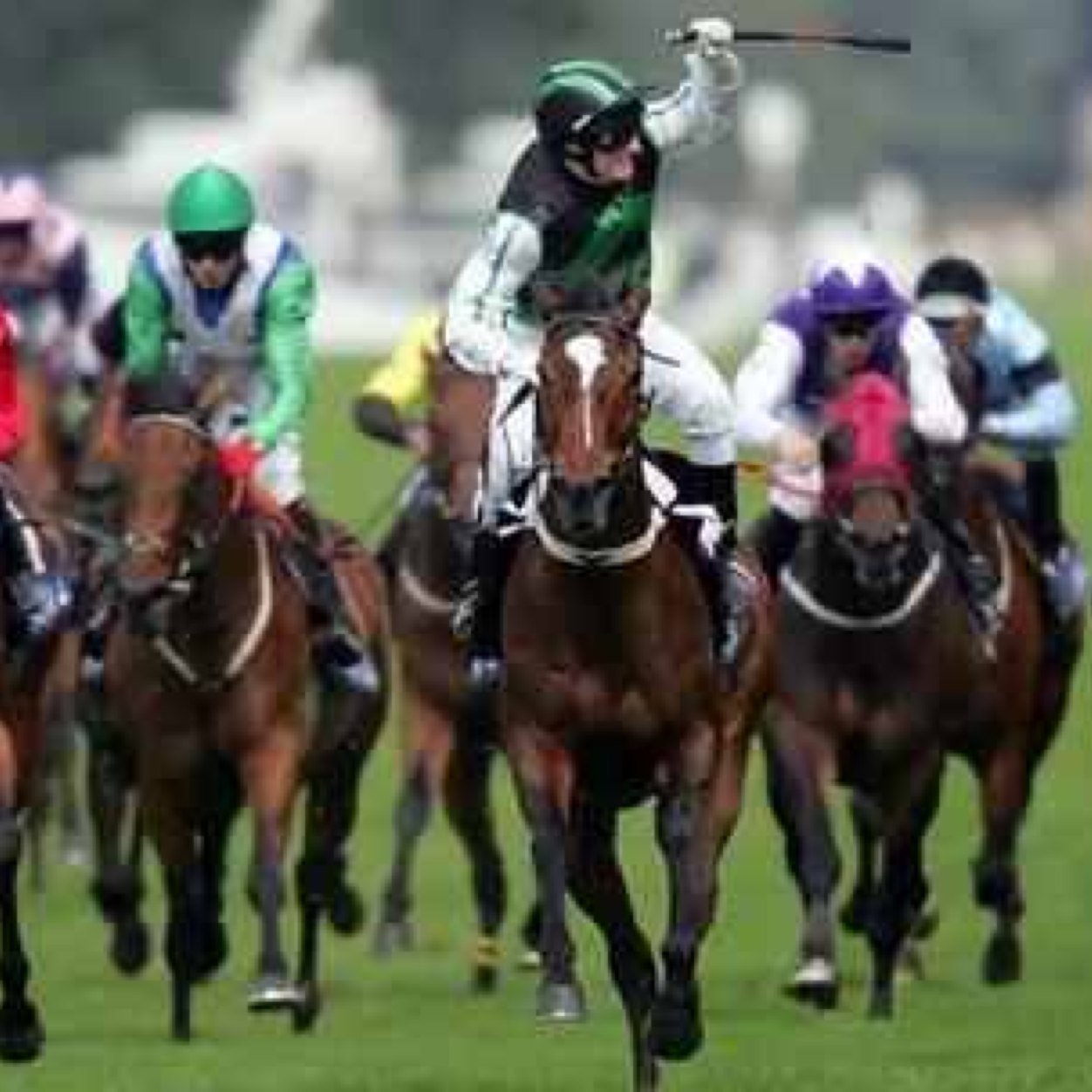 Owner of racehorses with a little inside info,  we are helping pundits bash the bookies!