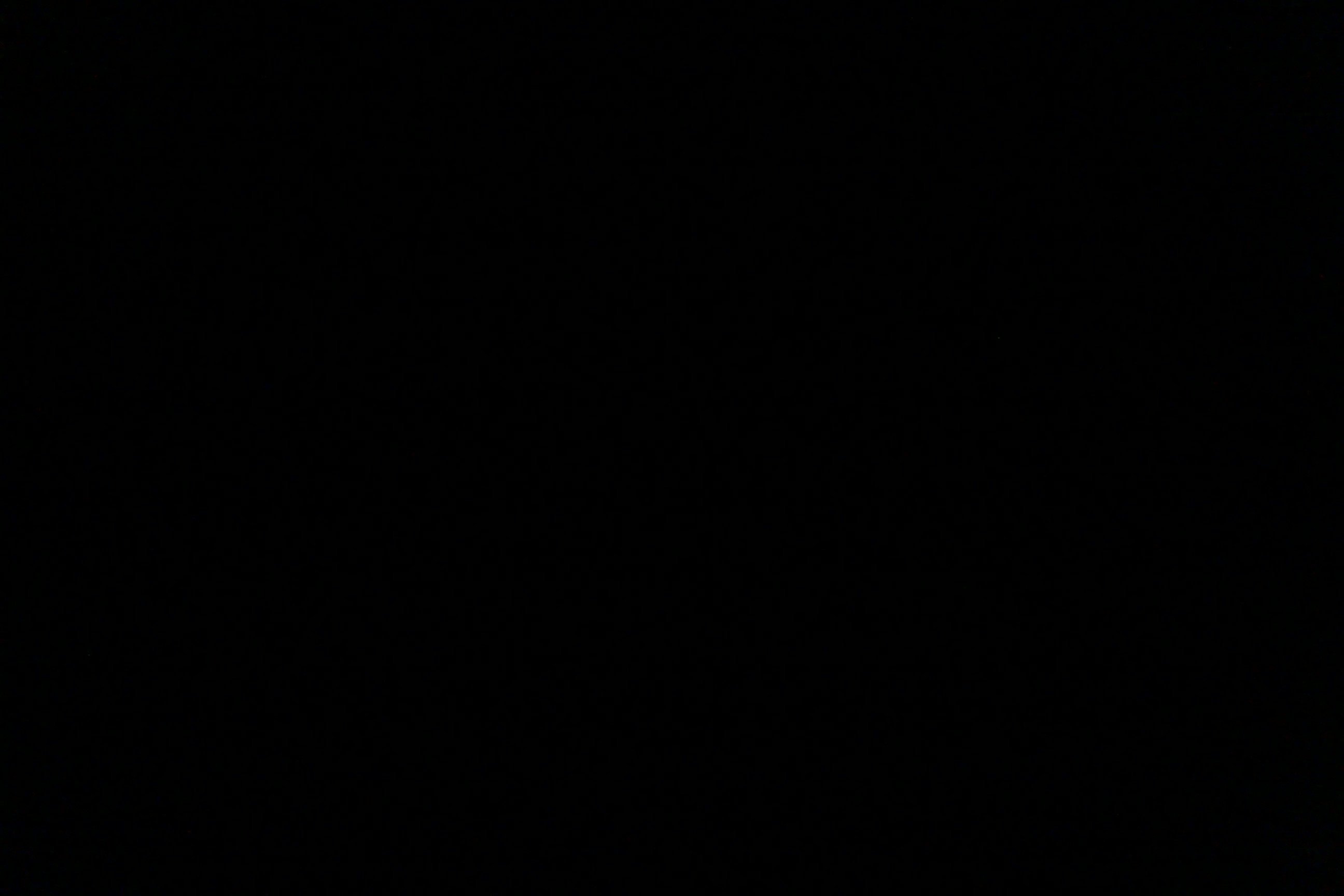 AmySexysquirrel's profile picture. Hello I'm Amy the squirrel,I like to have a fun time,I'm sometimes horny and I like to get dirty if you know what I mean boys hehe~ #open dm's #singlewww.