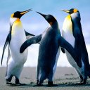 TopAdventure (@05Viktor) Twitter
